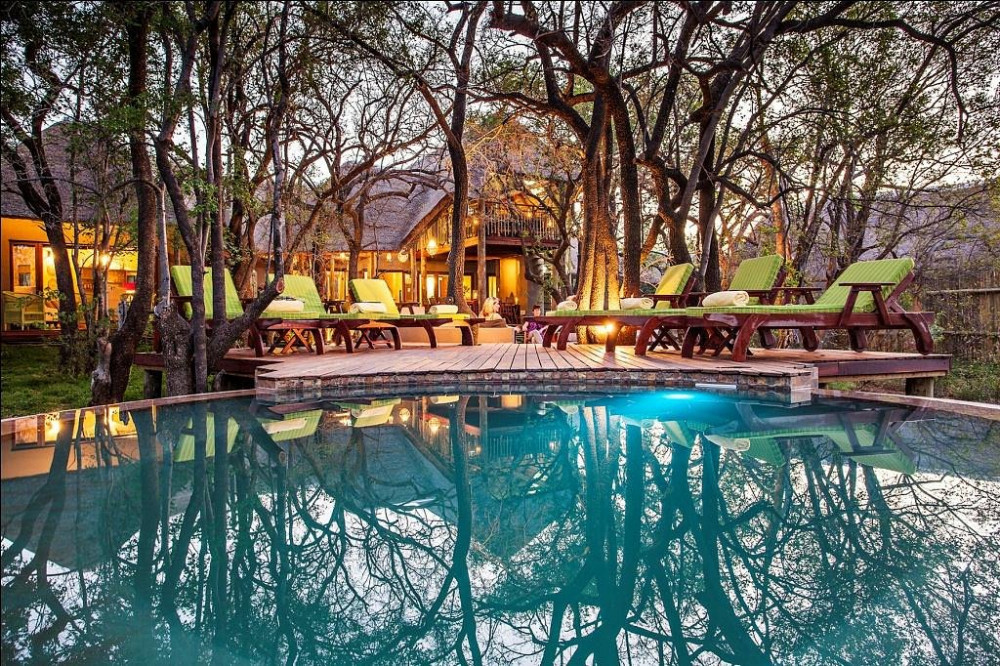 A luxurious lodge deck with green lounge chairs and a pool, surrounded by tall trees and thatched-roof structures, captured at Tambuti Lodge during a BST Tours safari in Pilanesberg National Park.