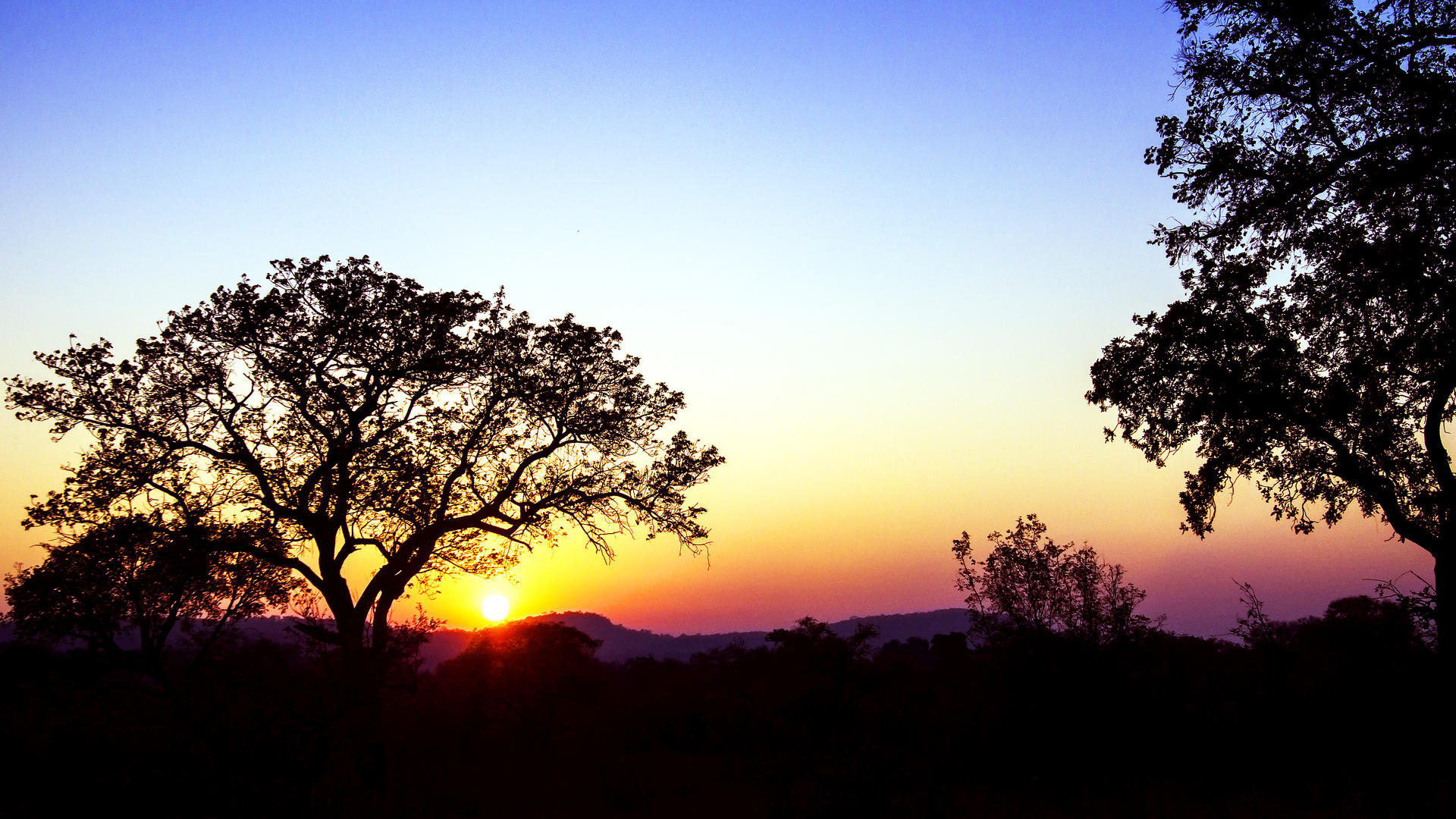 he Wild Blue Lodge, Ndlovumzi Nature Reserve